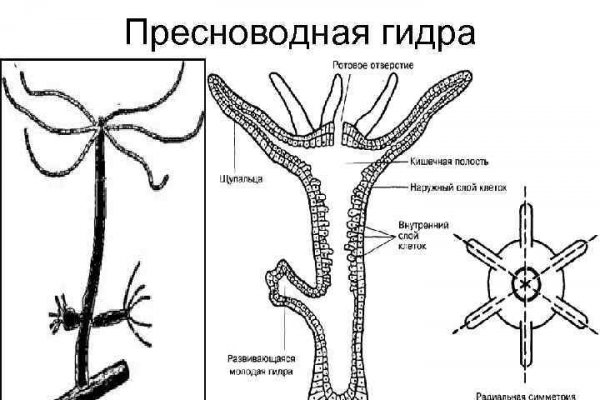 Кракен зеркало на сайт