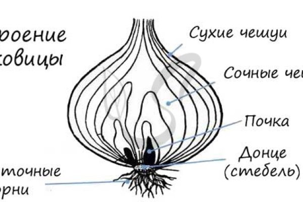 Ссылки онион