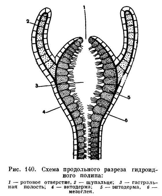 Зеркало кракен kr2web in